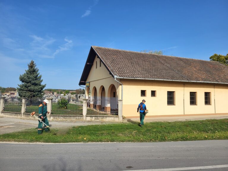 Јесење уређење села Сонта