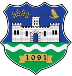 У току пријаве за добровољно служење војног рока у јунском року