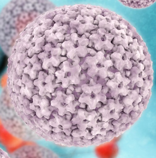 Одржано предавање о значају вакцинације против хуманог папилома вируса