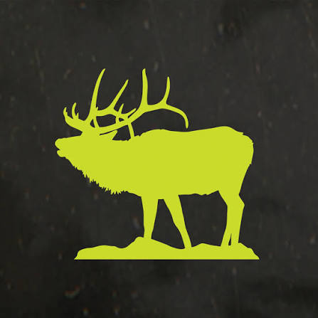 Девето издање Deer & Beer фестивала 1. августа у Апатину уз рок, пиво и бесплатан улаз
