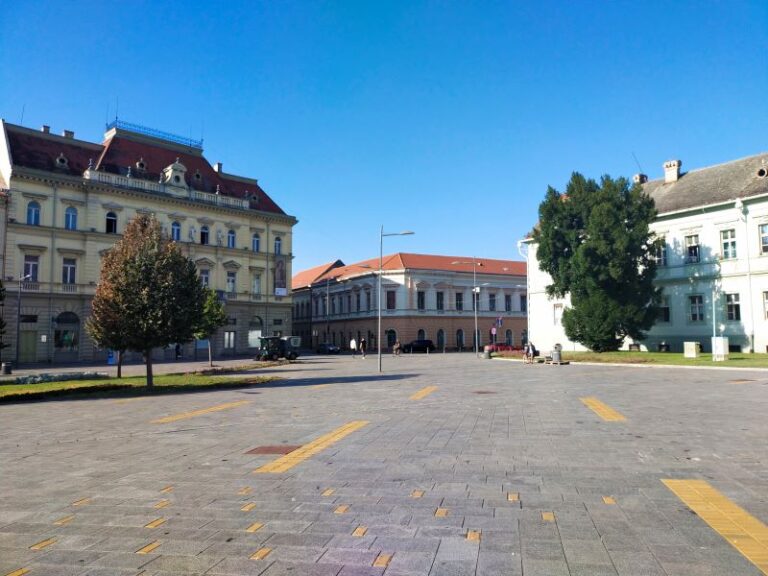 Зрењанин и четири општине заједно о будућем развоју